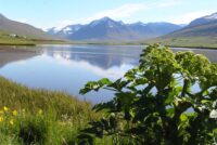 Verðum heppin með sumarið á Dalvík