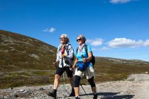 Við hverju má búast þegar gerð er liðskiptaaðgerð?