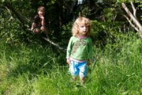Í fókus – Sumarið og forfeðurnir