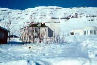 Neskaupstaður lamaðist af inflúensu