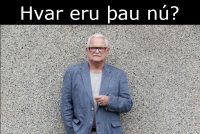 Heiðar Jónsson snyrtir