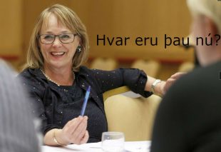 Ingibjörg Pálmadóttir fyrrverandi ráðherra og þingmaður