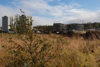 Minnstu eldri borgara íbúðirnar á 36,5 milljónir