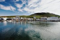 Grái herinn blæs til sóknar á Húsavík