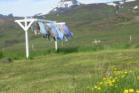 Fókus – afþreying