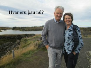 Einar Karl Haraldsson ráðgjafi