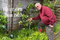 Hafsteinn Hafliðason garðyrkjufræðingur