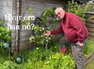 Hafsteinn Hafliðason garðyrkjufræðingur