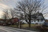 Loksins passaði eitthvað