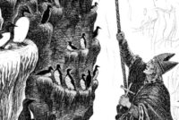 Guðmundur góði og Kolbeinn