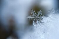 Í fókus – að þreyja þorrann og góuna