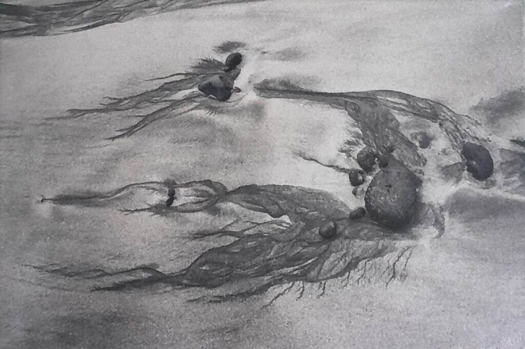 Í fókus – vetur hverfur aftur kemur vor