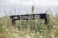 Gönguferðir um perlu Reykjavíkurborgar