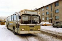 Allir í strætó, allir í strætó, enginn með Steindóri …því hann er svo mikill svindlari!