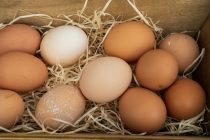 Eru egg holl eða óholl?