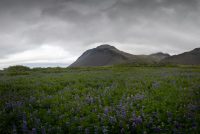 Góður tími til að njóta
