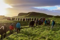 Sumarsólstöðuganga í Viðey