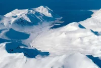 Allar ChitoCare-beauty vörurnar fengið verðlaun – vörur úr ríki hafsins