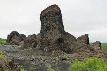 Þegar gestir verða plága