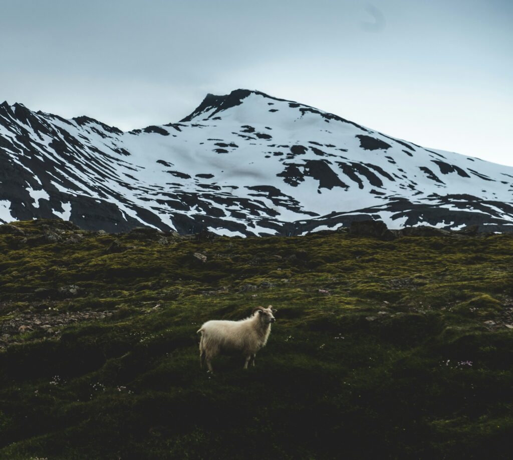 Í fókus – fólk, fjöll og dalir
