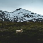 Í fókus – fólk, fjöll og dalir