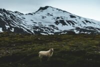 Í fókus – fólk, fjöll og dalir