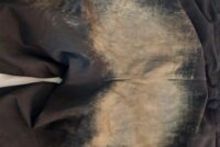 Mun spara stóru orðin um heimska ferðamenn