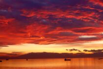 Jólaferðirnar mínar