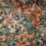 Margbrotin verk sem spegla flóru Íslands