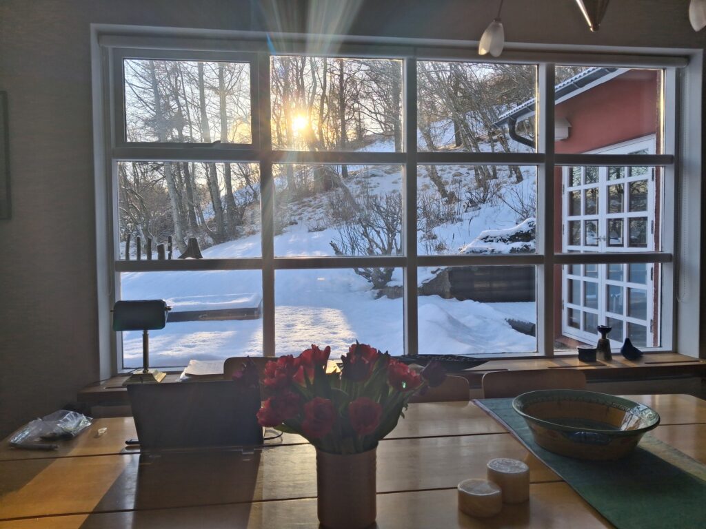 Blessuð sólin elskar allt – líka rykið