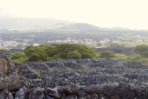 Komin heim – og langar aftur