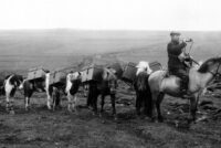 Samviskusemi og skyldurækni umfram allt