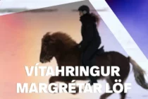 Mega morðingjar tjá sig um glæp sinn?