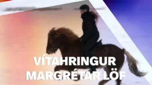 Mega morðingjar tjá sig um glæp sinn?
