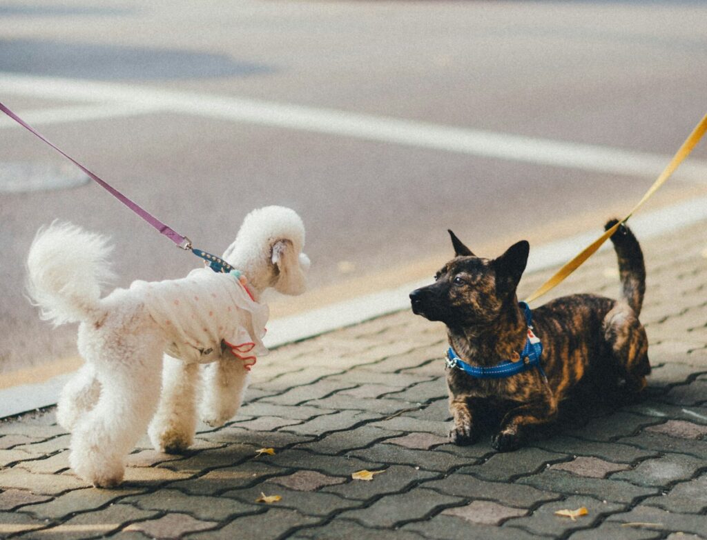Að heilsa ókunnugum