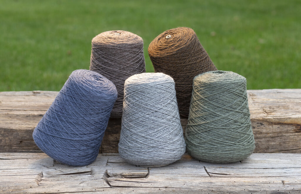 „Það er mikil vitundarvakning í gangi í kringum þetta“