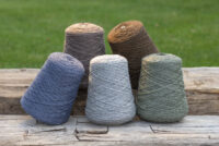 „Það er mikil vitundarvakning í gangi í kringum þetta“