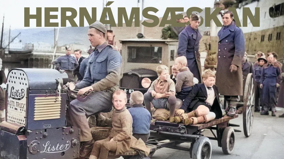 Íslensk æska verður til